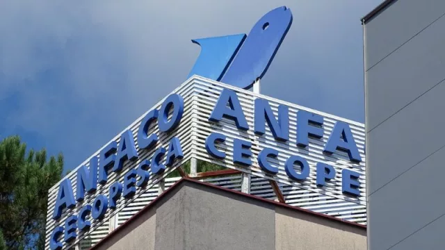 Anfaco-Cecopesca pide a Bruselas mayores contingentes para ciertas especies (y un aumento del periodo temporal)