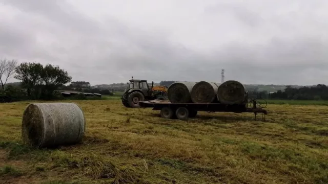 El mundo rural se moviliza para salvaguardar la agricultura y la economía en España (únete a la causa y firma para preservar nuestras raíces)
