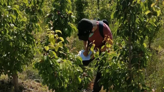 La Xunta "exporta" la otras comunidades autónomas su sistema informático para la gestión de las ayudas de la Política Agraria Común