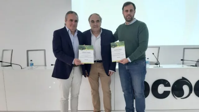 Y el mejor aceite temprano 2023-2024 es… (Dcoop reconoce el esfuerzo de los olivareros y olivareras)