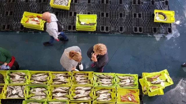 Once cofradías y una asociación de armadores reciben cerca de 650.000 euros para acometer mejoras en infraestructuras y equipaciones de lonjas y puertos