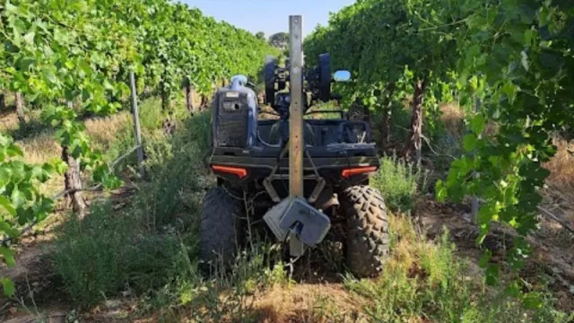 Un proyecto de I+D desarrollará soluciones tecnológicas 4.0 de predicción del rendimiento vitícola y prevención del riesgo de sequía y otros daños