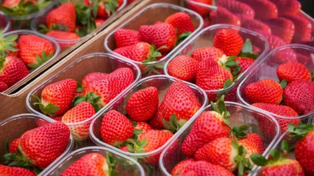 Asaja, tras detectarse hepatitis en fresas: "¿Hasta qué punto la UE está dispuesta a poner en riesgo la salud?"