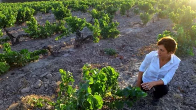 El número de mujeres al frente de explotaciones vitivinícolas se ha duplicado en 10 años