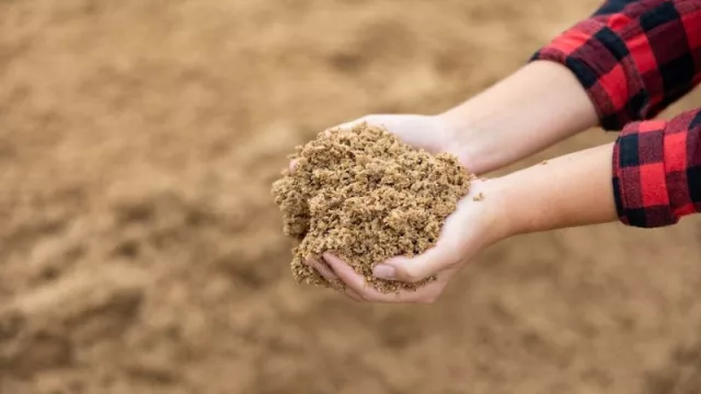 Hijos de Rivera y Blendhub avanzan hacia la alimentación del futuro con ImpacTaste