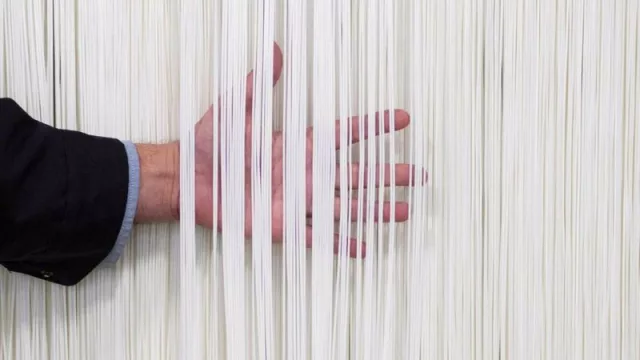 La planta que Altri proyecta en Lugo integrará los dos procesos necesarios para producir Lyocell