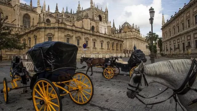 Sevilla en kayak, un plan diferente para descubrir la ciudad (una de las experiencias que ofrecen los Hoteles América y Derby)