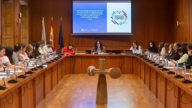 El Observatorio gallego LGBTIQ+ acuerda impulsar este órgano para convertirlo en el canal de referencia entre las administraciones y el colectivo