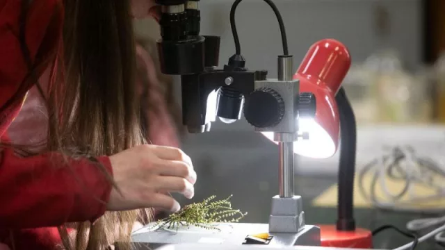 El IES STEMbach llegará el próximo año a más de 50 centros de toda Galicia (con mejoras como el reconocimiento de créditos universitarios)