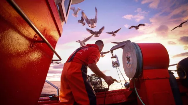 La flota española se beneficia de los aumentos en las cuotas de patudo y pez espada aprobados en la reunión del ICATT