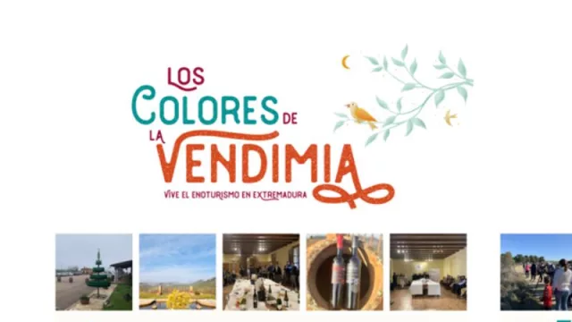 Los colores de la Vendimia: enoturismo y gastronomía en el puente de diciembre (un plan colorido para el puente)