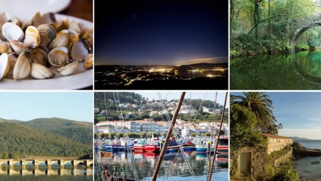 12 razones para que te enamores de Ría da Estrela (un destino para los 365 días del año)