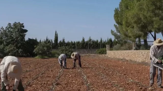 Desde 2022, la inmigración lidera el 40% de las contrataciones