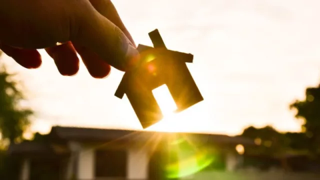 Año nuevo, hogar más verde: 5 consejos para hacer tu casa más sostenible en 2025