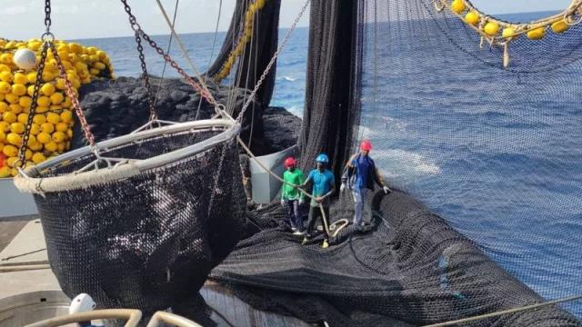 Más de 500 profesionales solicitan empleo en la flota atunera española a través de la plataforma 'empleAtún'