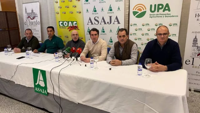 Los apicultores protestarán si avanza el Programa de Vigilancia Obligatorio del Ministerio