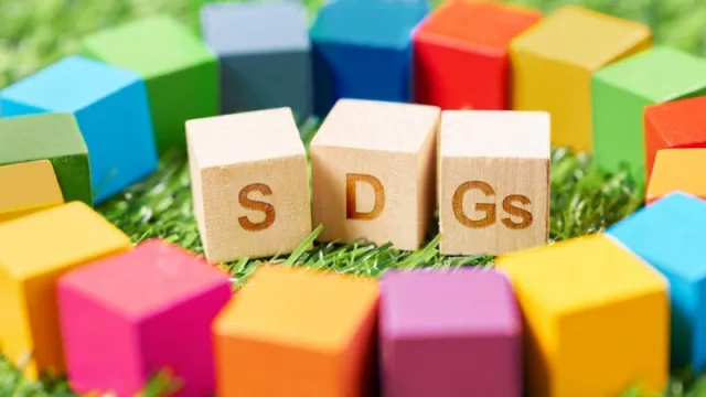 Solo 4 de cada 10 empresas españolas desarrollan proyectos de acción social alineados con los ODS