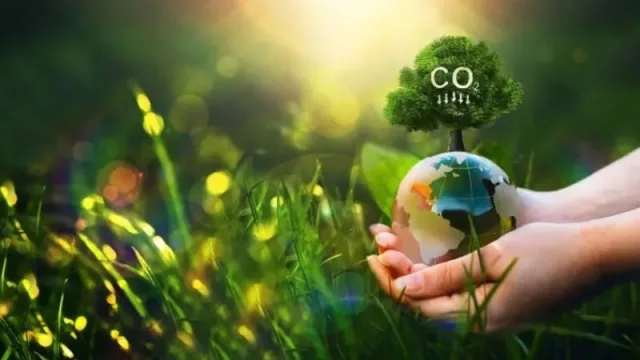 Fibratel sitúa la reducción de su huella de carbono como prioridad en 2025