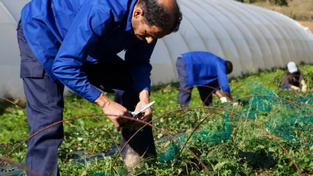 Energía Solidaria: EDP destina más de un millón de euros a proyectos que promuevan una transición energética justa