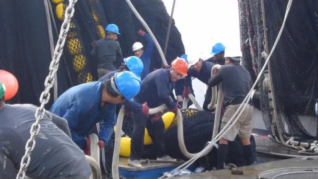 La flota atunera, primera del sector pesquero español que presenta su oferta de trabajo estable en Aula 2025