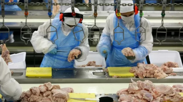 Adecco busca a 60 personas para trabajar en el sector alimentario en diferentes zonas de La Rioja