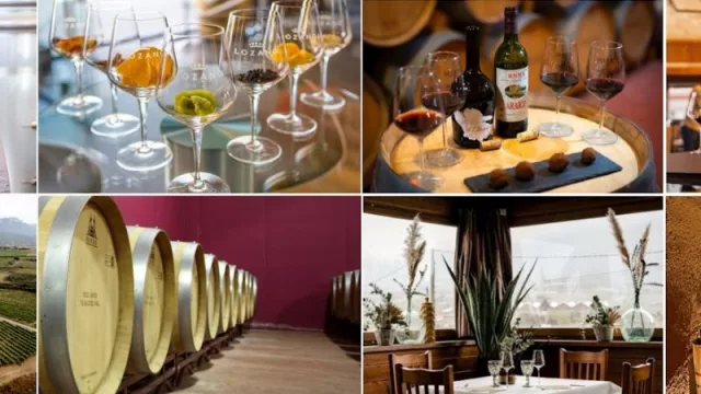 8 planes en Rioja Alavesa que fascinaran a cualquier amante del vino