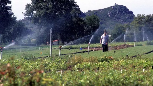 Rueda destaca que la Xunta destina 36 M€ para seguir ahondando en la incorporación de jóvenes al campo y la mejora de las explotaciones ganaderas