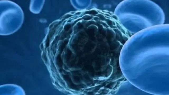 Tecentriq® combinado con lurbinectedina muestra un beneficio significativo de supervivencia en cáncer de pulmón microcítico en estadio extendido