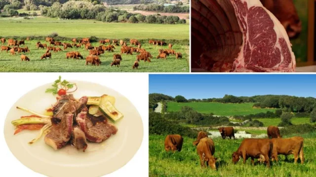 Vaca Vermella Menorquina: la revolución roja de la cocina local