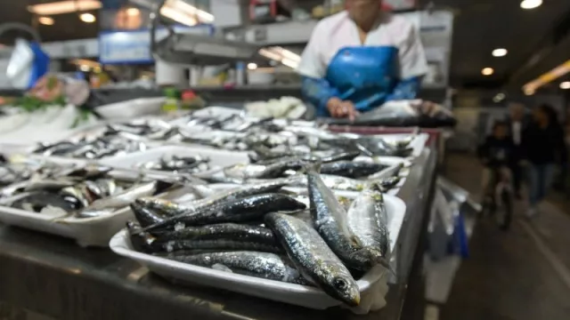 El Bono Peixe de la Xunta podrá descargarse desde el 28 de julio con 50 euros por beneficiario