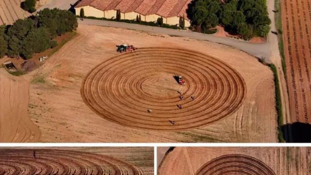 La Rioja Alta, S.A. invierte en sus viñedos para combatir el cambio climático y elaborar vinos de calidad