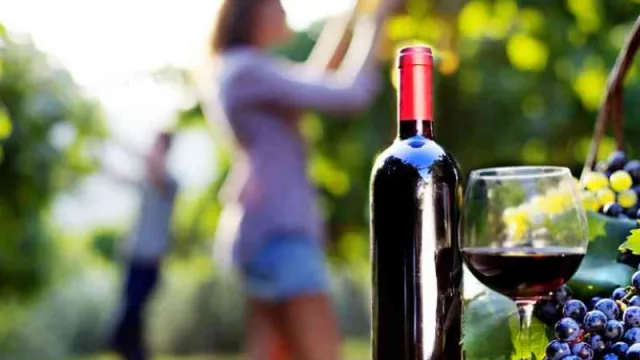 María José Gómez destaca el papel de la viticultura en la protección del paisaje y el patrimonio de la Ribeira Sacra