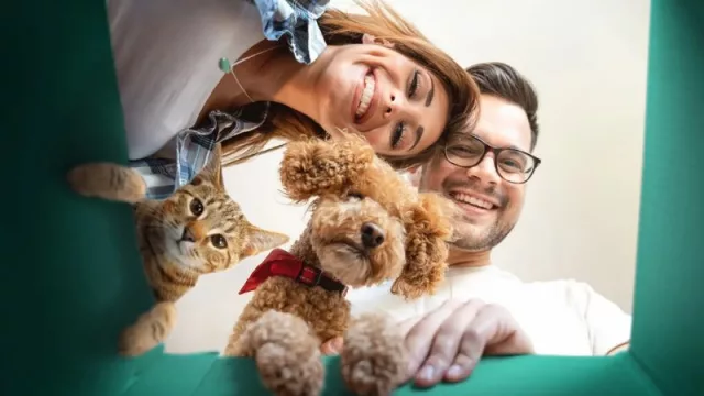 Too Good To Go integra en su app la opción de salvar alimentos para mascotas