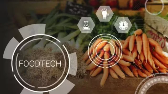 El auge del foodtech dispara la demanda de talento híbrido que une ciencia, tecnología y sostenibilidad