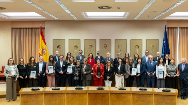 Leroy Merlin, EGA Master, Meliá Hotels, EY, Airbus  y Onda Vasca, ganadores de los IX Premios de Diversidad e Inclusión